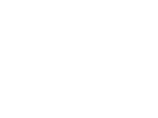 ICO Registered
